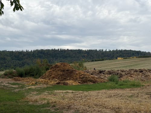 Arche Nebra - Mittelberg
