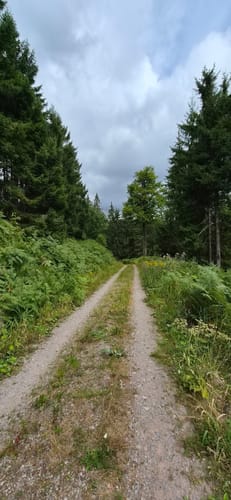 Seibelseckle: Wildsee und Darmstädter Hütte