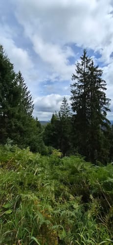 Seibelseckle: Wildsee und Darmstädter Hütte