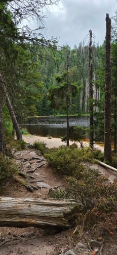 Seibelseckle: Wildsee und Darmstädter Hütte