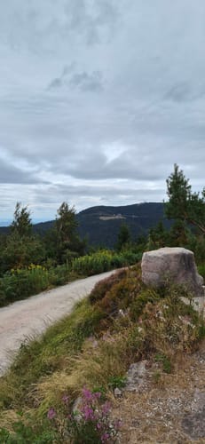 Seibelseckle: Wildsee und Darmstädter Hütte