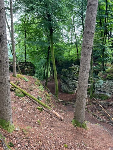 Teufelsschlucht und Keltenhöhle Rundweg
