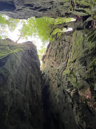 Teufelsschlucht und Keltenhöhle Rundweg