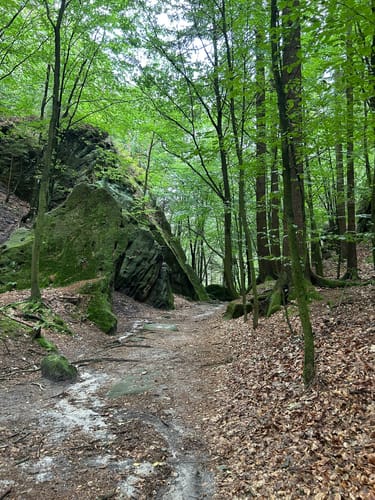 Brand Runde von Rathen [CLOSED]