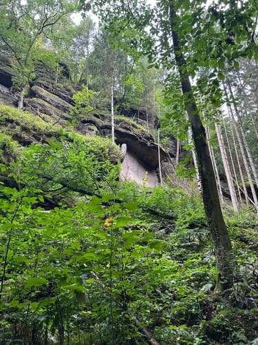 Brand Runde von Rathen [CLOSED]