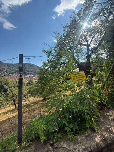 Philosophenweg Heidelberg