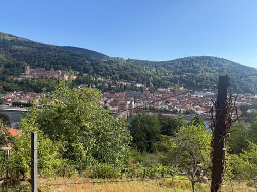 Philosophenweg Heidelberg