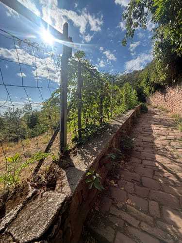 Philosophenweg Heidelberg