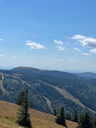 Feldbergsteig (Genießerpfad)