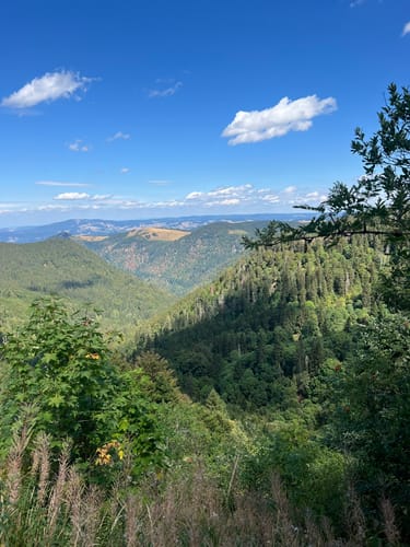 Feldbergsteig (Genießerpfad)