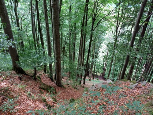 Maierwinkel - Hinanger Wasserfälle