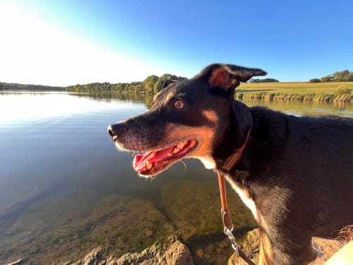 Rund um den Bucher Stausee
