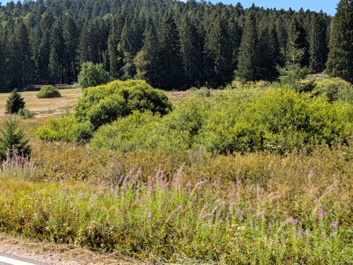 Sieben-Moore-Weg im Hotzenwald