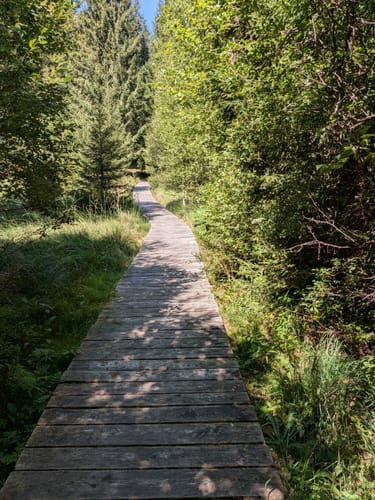 Sieben-Moore-Weg im Hotzenwald