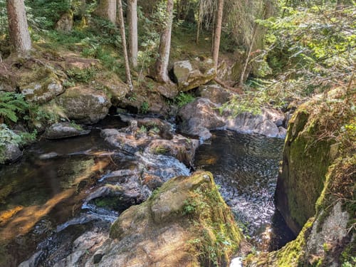 Sieben-Moore-Weg im Hotzenwald