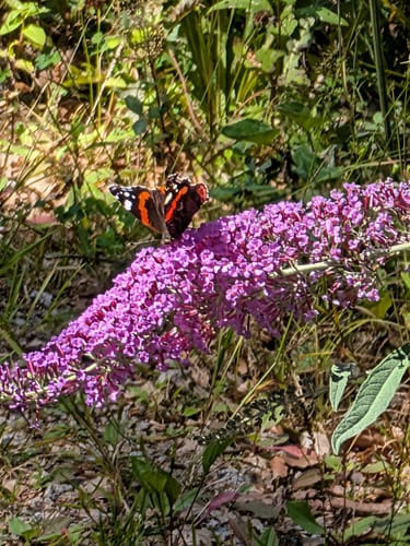 Sieben-Moore-Weg im Hotzenwald