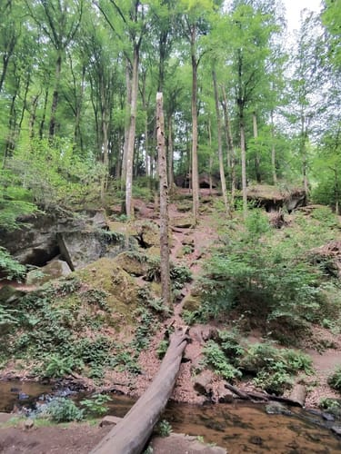 Trippstadt - Burg Wilenstein -Karlstalschlucht