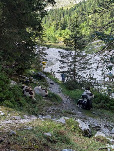 Höllentalklamm und Kreuzeck