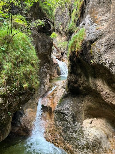 Almbachklamm (Premiumwanderweg)