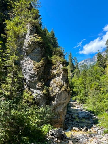 Almbachklamm (Premiumwanderweg)