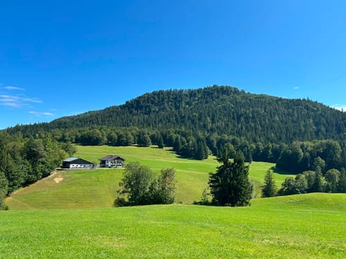Almbachklamm (Premiumwanderweg)