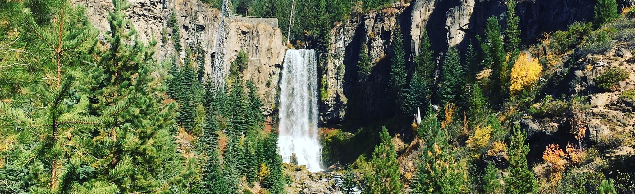 Twin Bridges Loop 62 Reviews, Map Oregon AllTrails