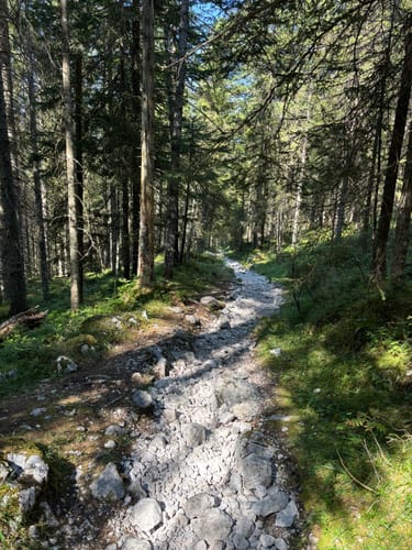 Eibsee Rundweg und Hochthörlehütte