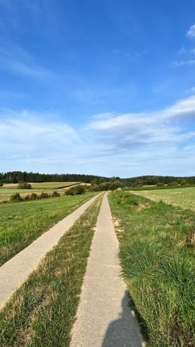 Durch den Altowald zu den Ilmquellen