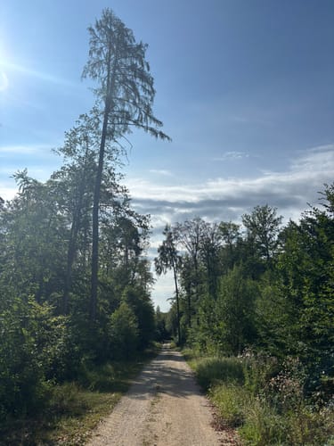 Edelweißweg
