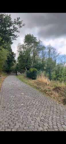 Zwischen den Wasserfällen bei Bernkastell-Kues