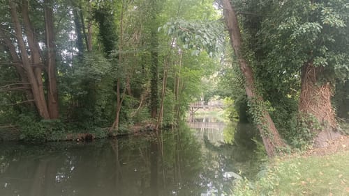 Naturerlebnispfad Schlossinsel Lübben