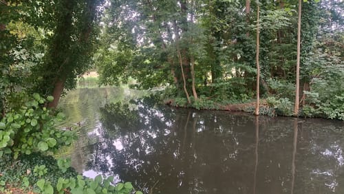 Naturerlebnispfad Schlossinsel Lübben