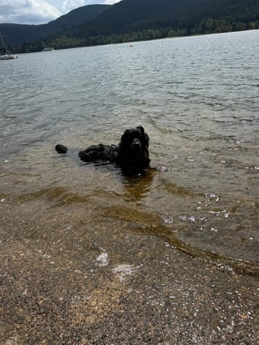 Bildstein - Schluchsee Ostufer