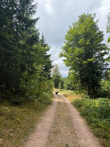 Bildstein - Schluchsee Ostufer