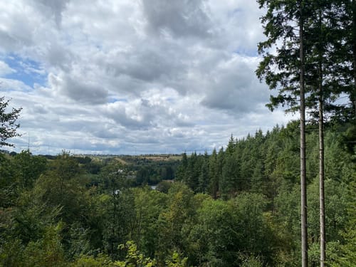 EifelSchleife Kronenburger Himmelsglück