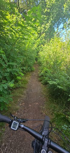 Scharmützelsee Runde