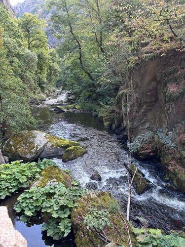 Bülowhöhe - Rosstrappe - Goethe-Felsen