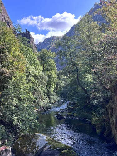 Bülowhöhe - Rosstrappe - Goethe-Felsen