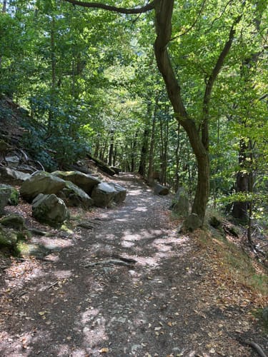 Bülowhöhe - Rosstrappe - Goethe-Felsen