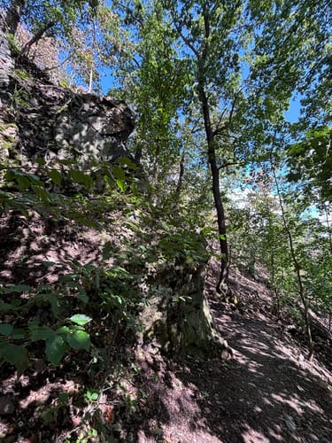 Bülowhöhe - Rosstrappe - Goethe-Felsen
