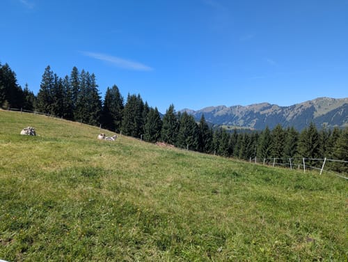 Hörner Panoramatour