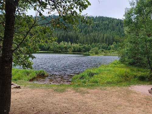 Zu den Sankenbachwasserfällen über den Gruberkopf