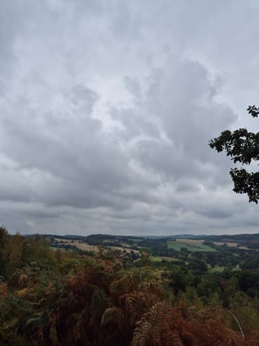 Kreiswald