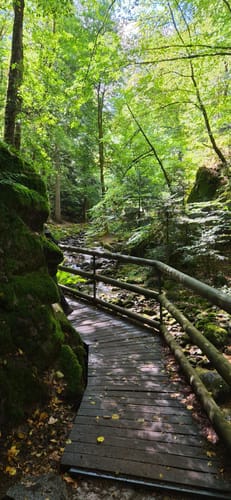 Geroldsauer Wasserfall- Eberkopf