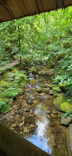 Geroldsauer Wasserfall- Eberkopf