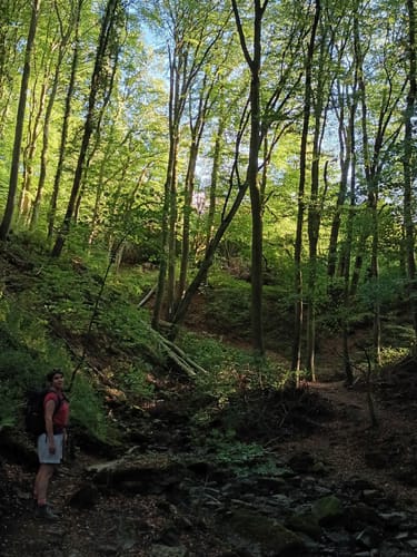 Mullerthal Trail Route 1: Echternach - Moersdorf