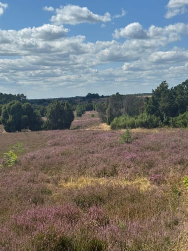 Suhorn - Wümmeberg - Tütsberg
