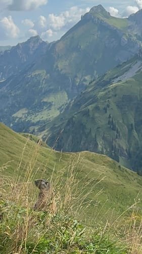 Die Via Alpina, Etappe 50: Prinz-Luitpold-Haus - Oberstdorf