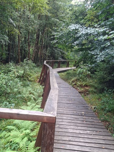 Keller Stausee und Osburger Wald