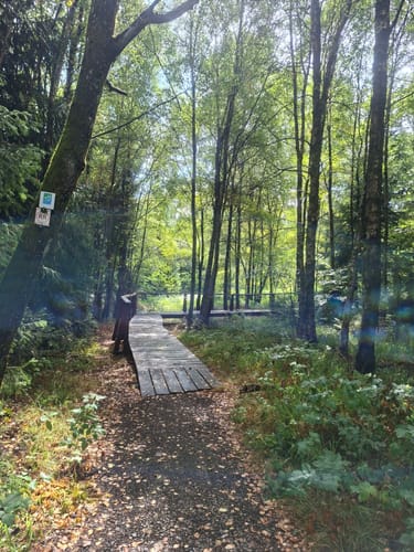 Keller Stausee und Osburger Wald